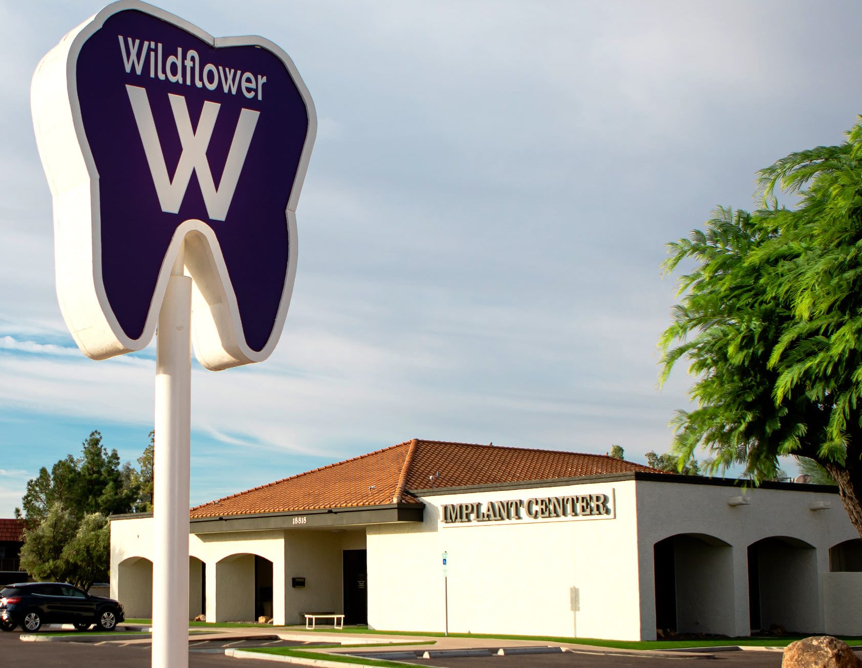 Wildflower dental building